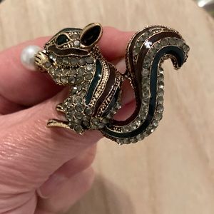 Squirrel Brooch